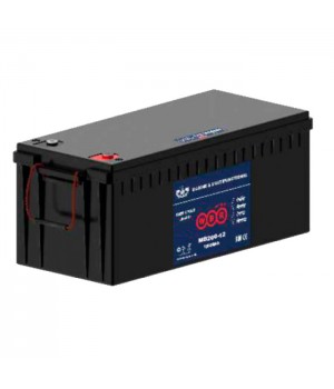 Аккумулятор WBR MB200-12