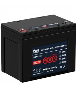 Аккумулятор WBR MBG75-12