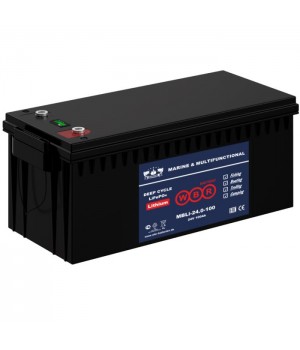 Аккумулятор WBR MBLi24-100