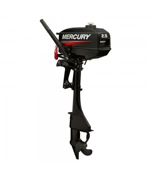 Аренда лодочного мотор Mercury 2.5 M