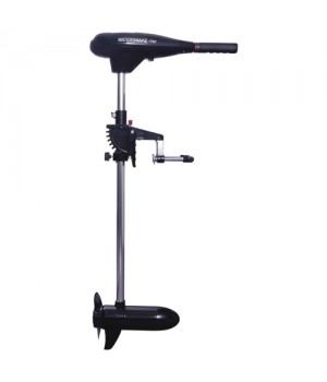 Лодочный электромотор WaterSnake FWT28TH/26