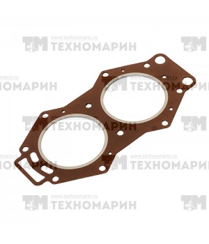 Прокладка под головку Yamaha 6E5-11181-A0