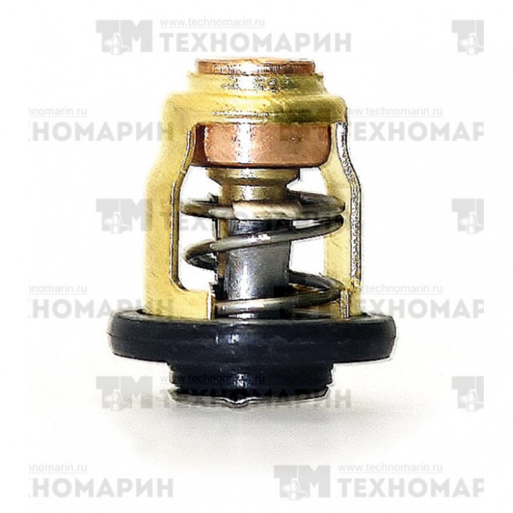 Термостат Yamaha 6E5-12411-31