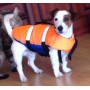 Спасательный жилет для собак
